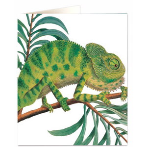 Kort- Chameleon